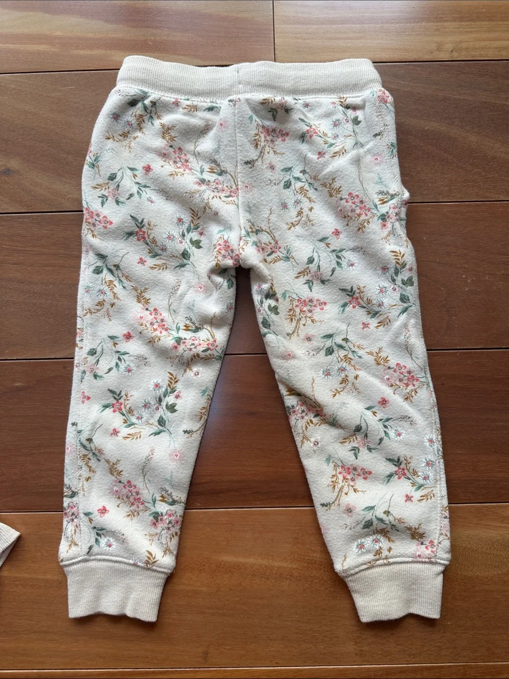 OshKosh B'gosh Cream Floral Girls' Set - Top & Jogger Pants 2T
